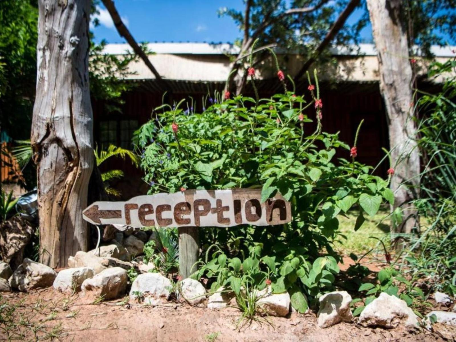 Nxabii Cottages Kasane Exteriér fotografie